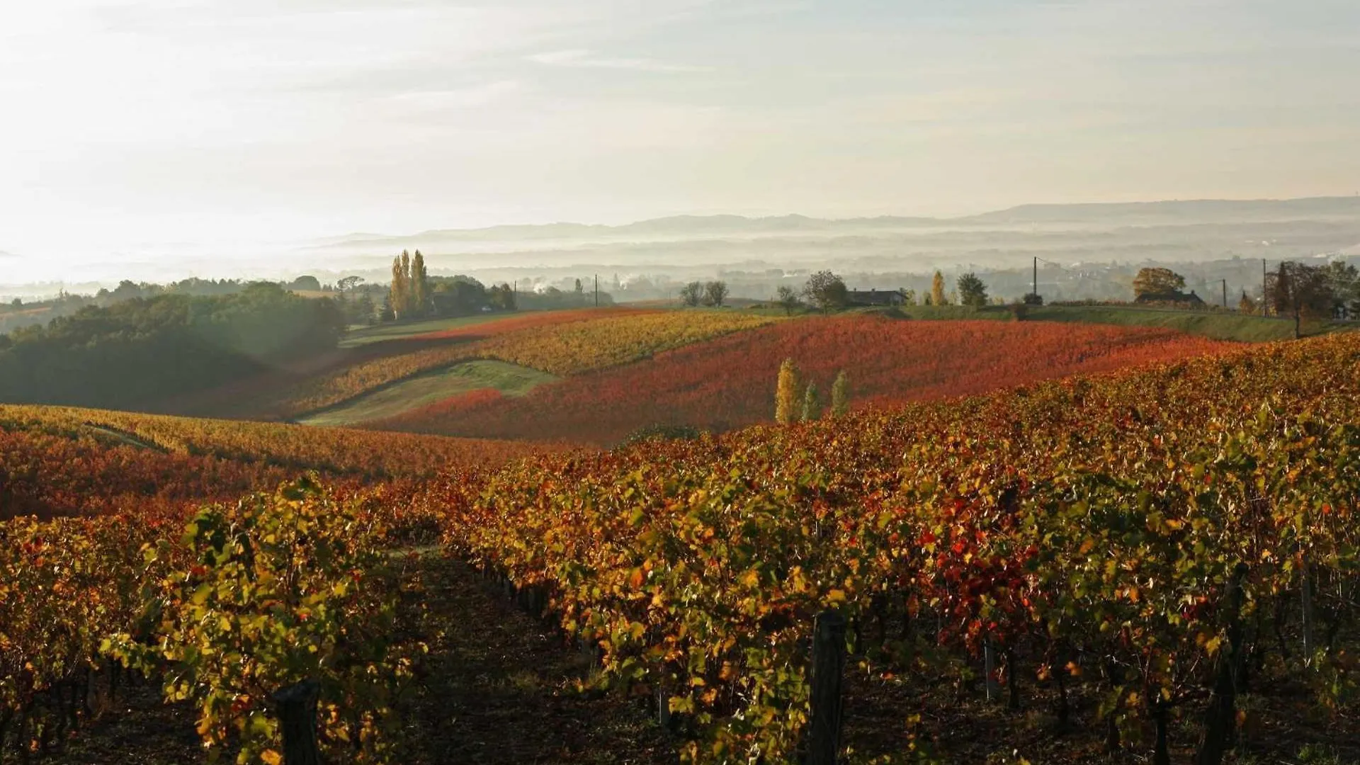 La Durantie Villa Castelnau-de-Montmiral
